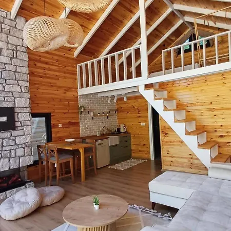 Villa Thea Sapanca Senaiye