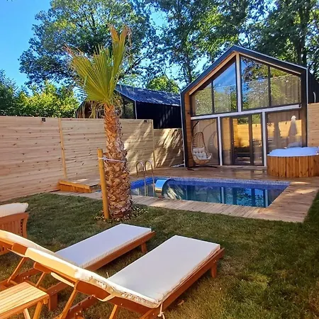 Thea Sapanca Villa *