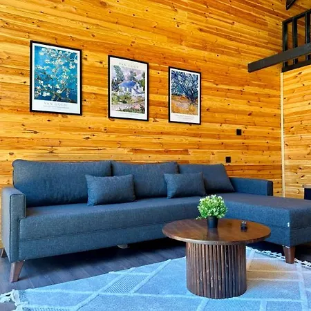 Thea Sapanca Villa Senaiye