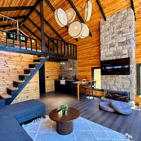 Villa Thea Sapanca Senaiye