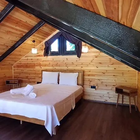 Thea Sapanca Senaiye